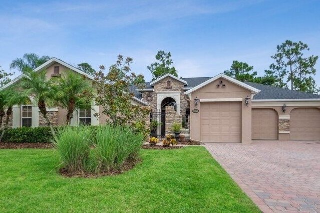 01_3955Dandelion_300_FrontView_LowRes (1)